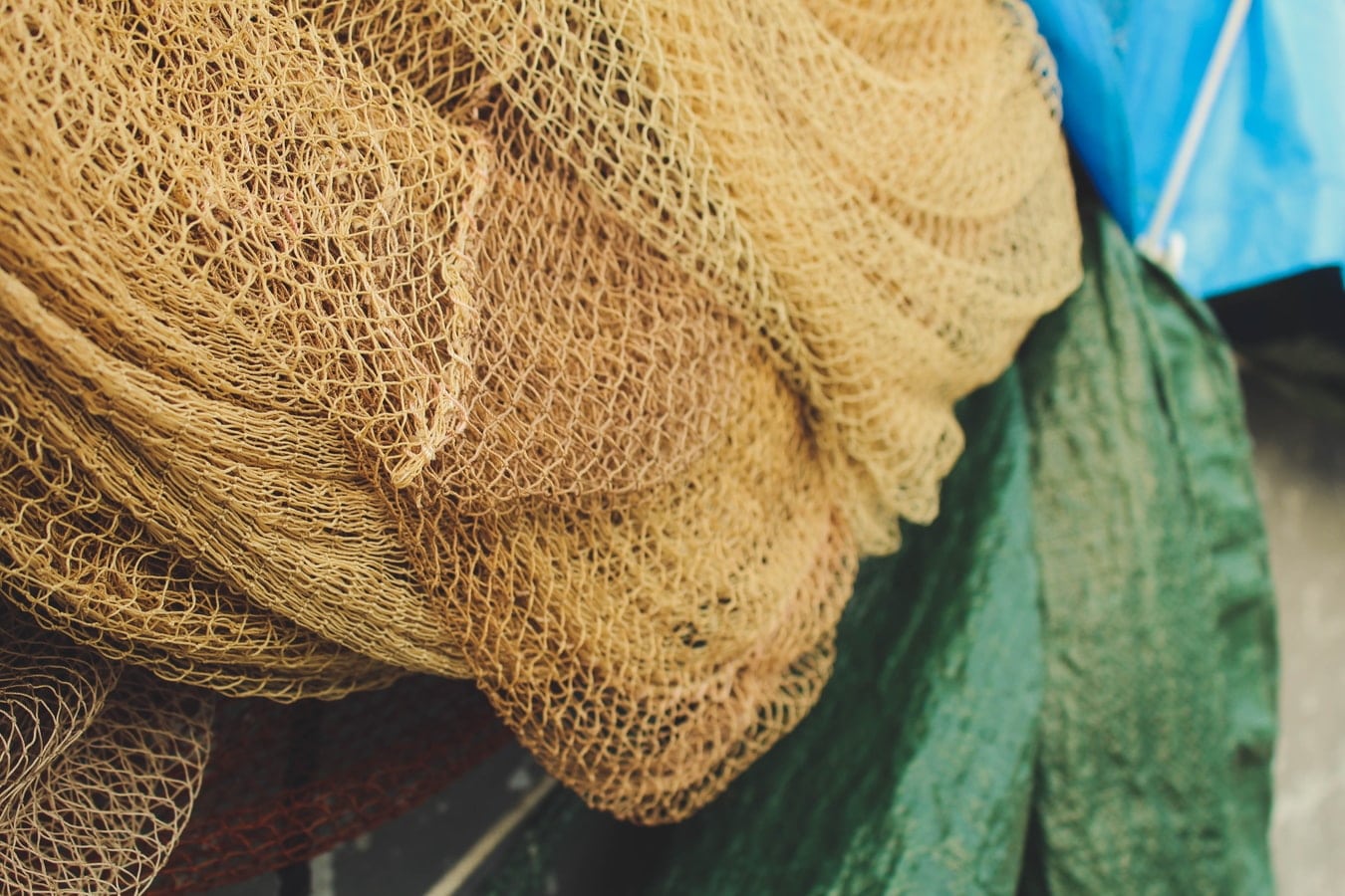 Who are the main actors in the fishing industry?