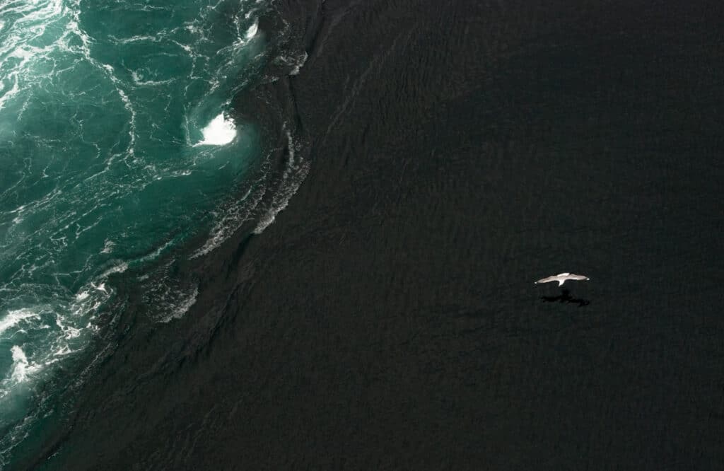 Picture of the ocean with wave