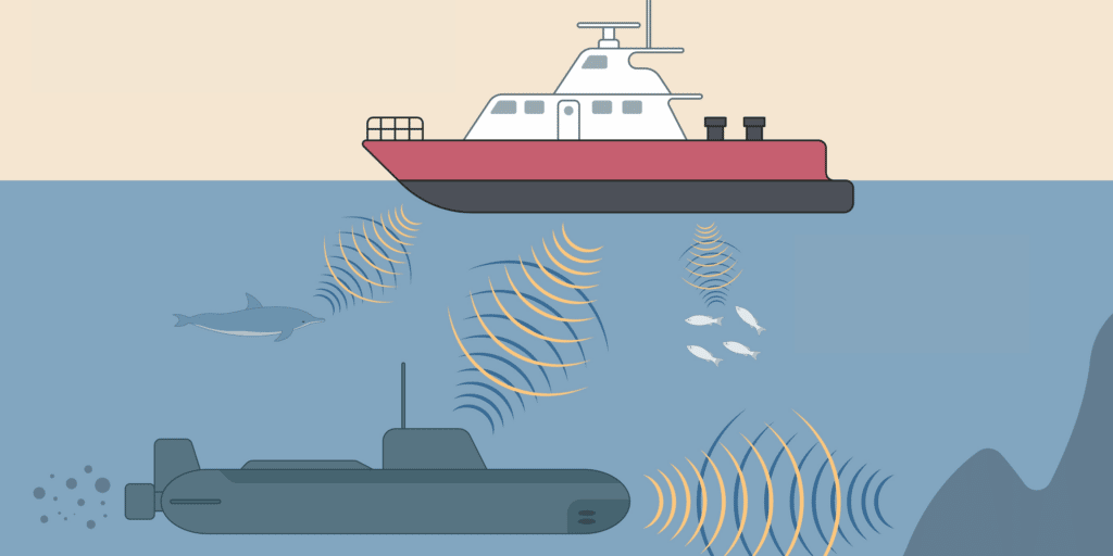 harmful effects of noise from marine activities