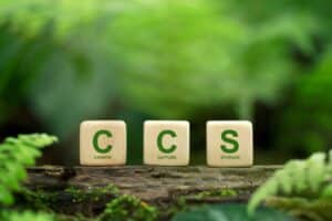 Importance of carbon capture and storage