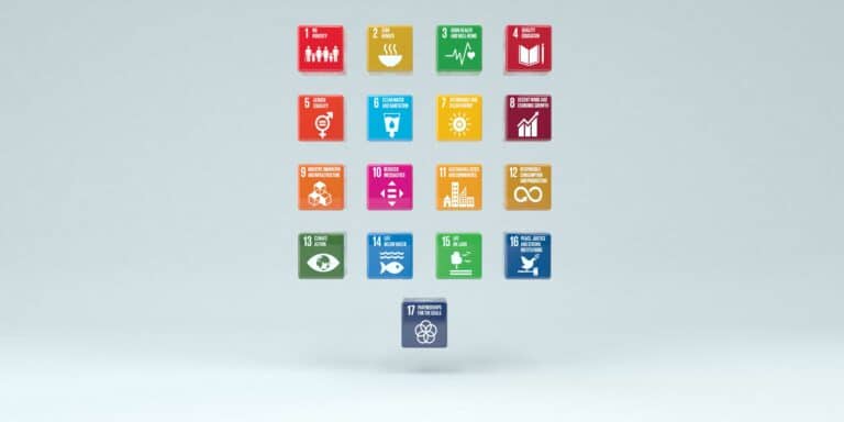 some sdgs are linked to the maritime industry