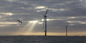 Environmental Impact Assessments and Risk Management