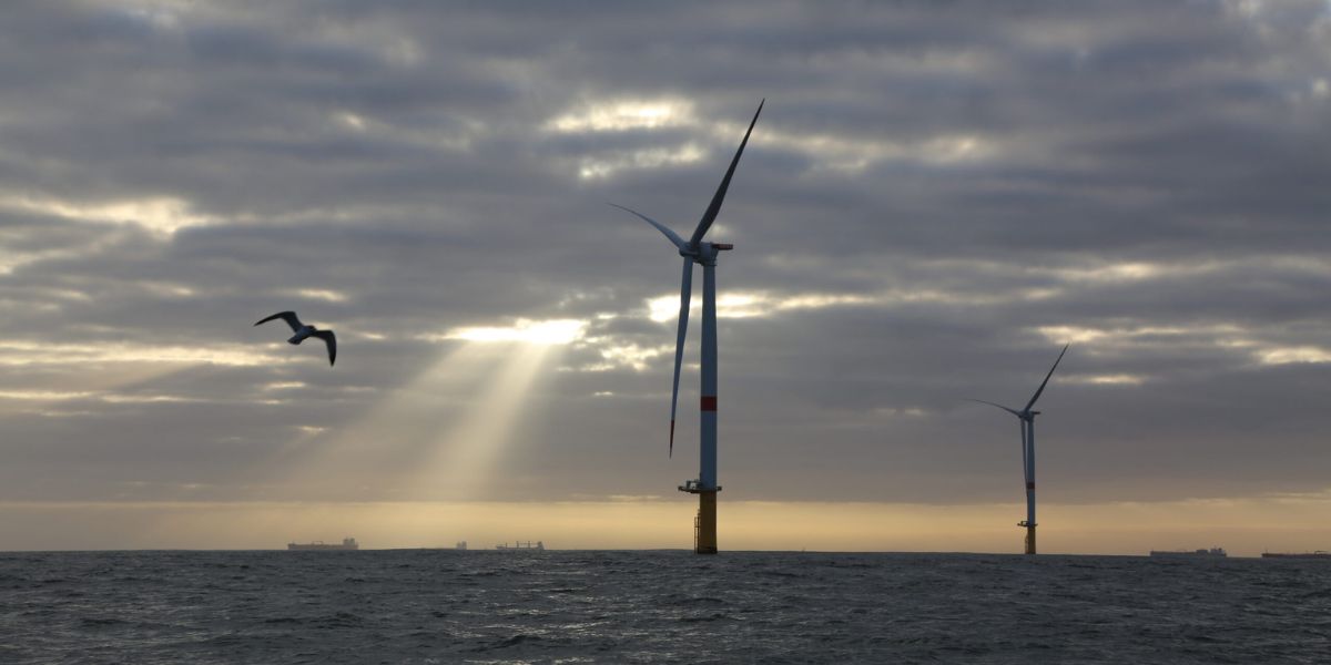 Environmental Impact Assessments and Risk Management