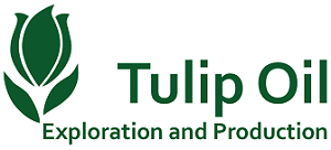 tulip